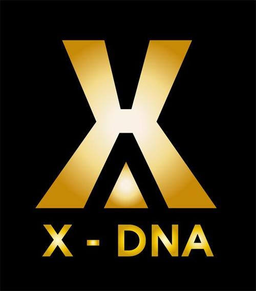 倍绩企业管理咨询 赋能企业高效增长的专业伙伴