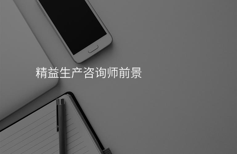 什么是精益生产咨询师